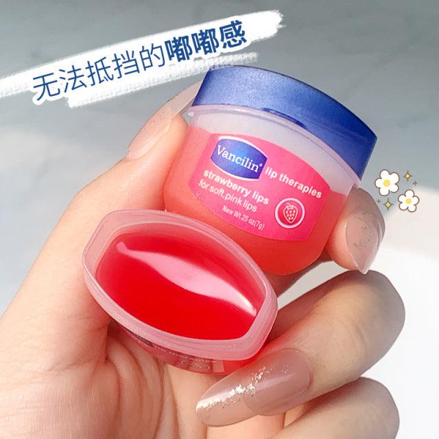 4PCs Lip Balm Moisturizing Lipstick Base Moisturizer Makeup Natural Plant Anti-Cracking Lip Care Petroleum Jelly Lip Balm - WMV LLC