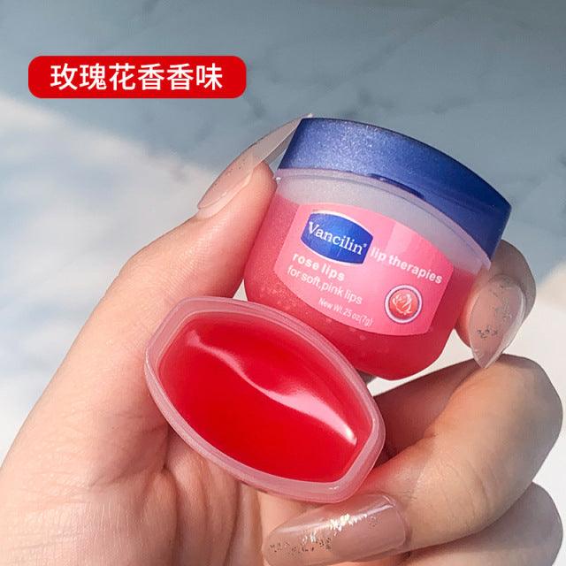 4PCs Lip Balm Moisturizing Lipstick Base Moisturizer Makeup Natural Plant Anti-Cracking Lip Care Petroleum Jelly Lip Balm - WMV LLC